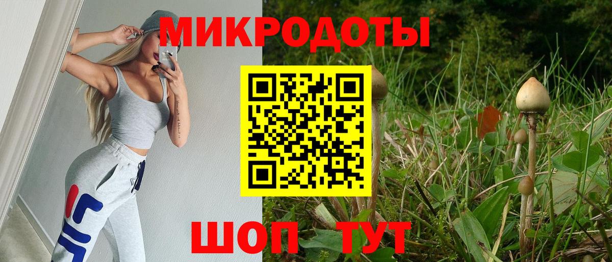 Псилоцибиновые грибы Psilocybine cubensis  Вход с VPN  Бугуруслан  Псилоцибиновые грибы мицелий 